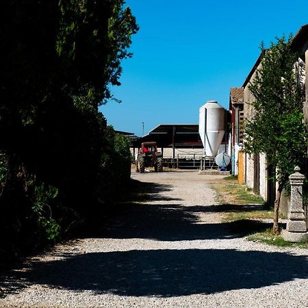 Dimora Iannelli - B&B Rurale Paestum Buitenkant foto