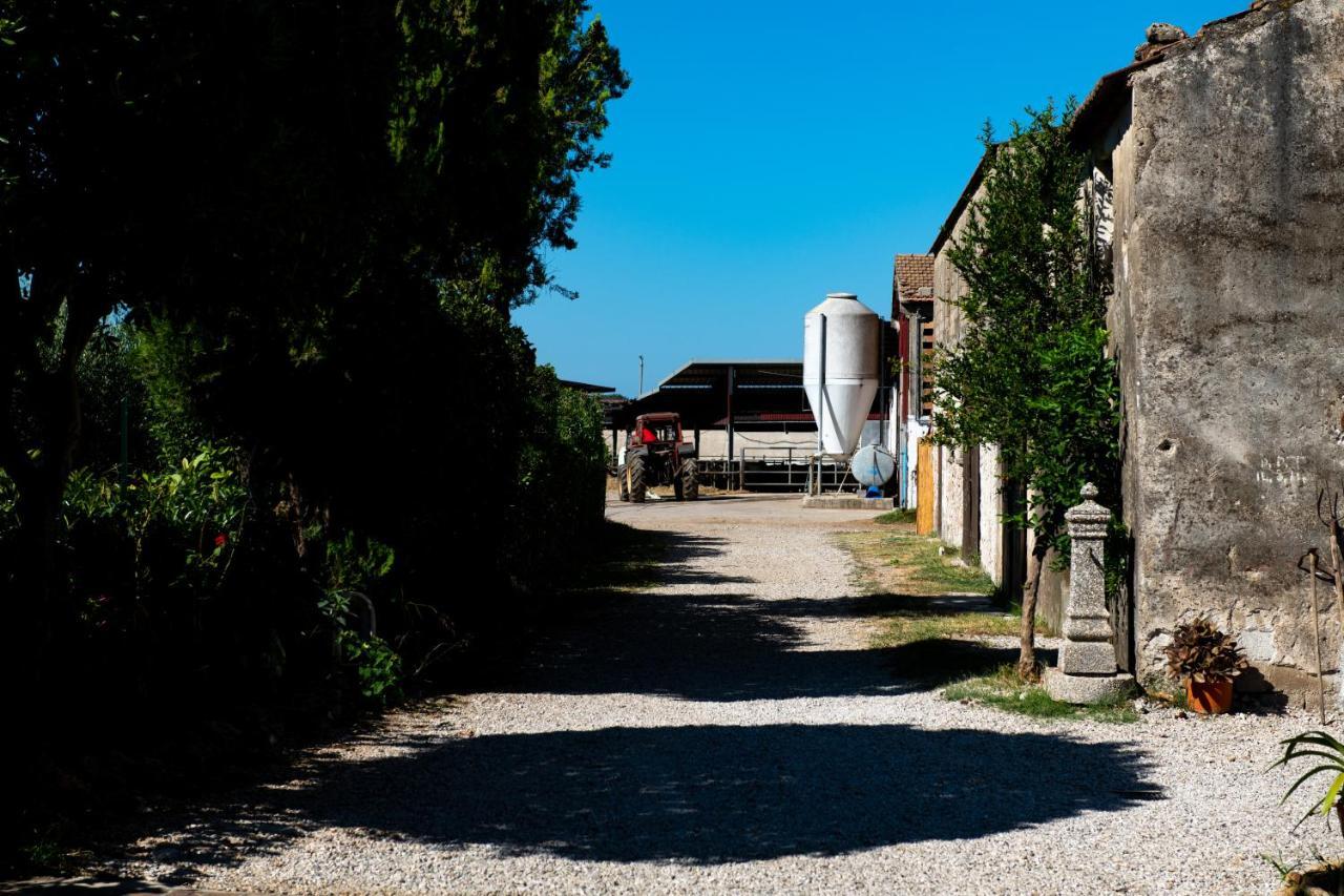 Dimora Iannelli - B&B Rurale Paestum Buitenkant foto